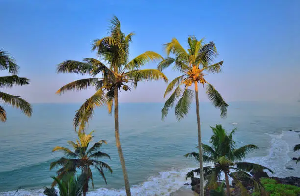 Kerala Coastal & Hill Escape