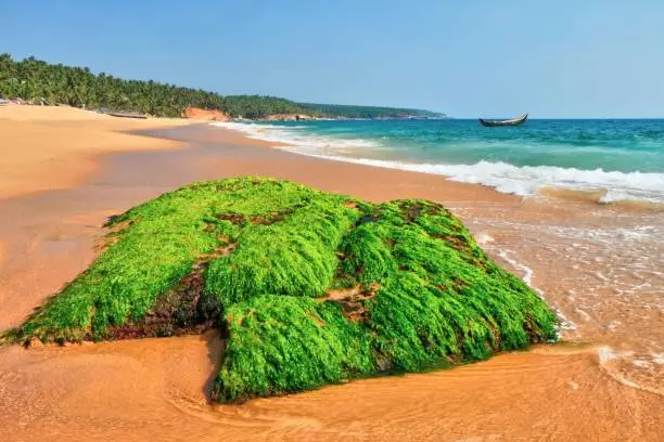Kerala Coastal & Hill Escape
